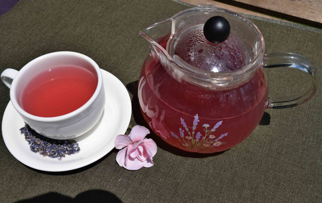6.熏衣草